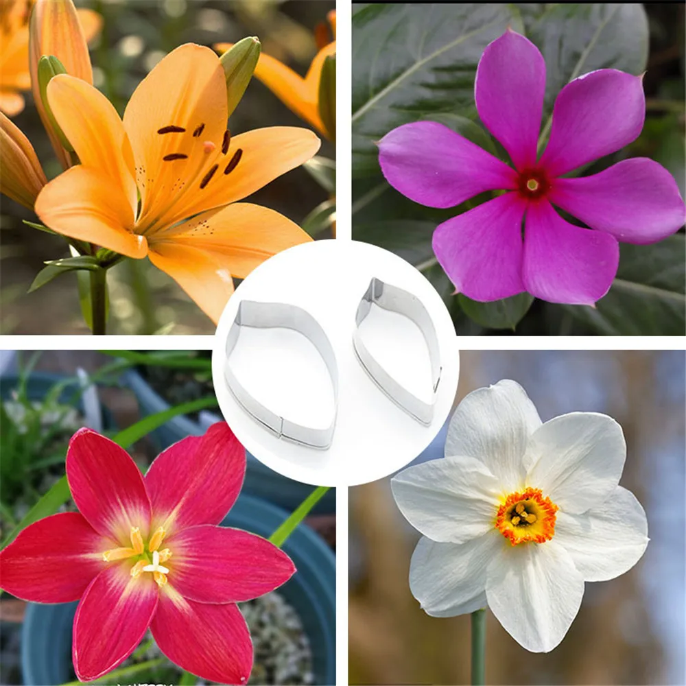 Pastry Cutters DIY Flower Petal Pattern Stainless Steel Cutting Shape Mold Ceramic Clay Tools Cutter
Pastry Cutters DIY Flower Petal Pattern Stainless Steel Cutting Shape Mold Ceramic Clay Tools Cutter