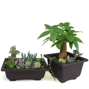 Plastic Retro Flower Pot Square Simple Succulent Planting Pot Rectangular Desktop Decorative Flower Pot
Plastic Retro Flower Pot Square Simple Succulent Planting Pot Rectangular Desktop Decorative Flower Pot