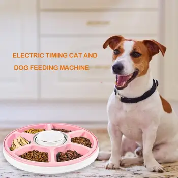 6 Meals 6 Grids Pet Timing Feeder Automatic Adjustable Time Cat Dog Electric Food Dispenser Dish Feed 24 Hours Timer Pet Supply
6 Meals 6 Grids Pet Timing Feeder Automatic Adjustable Time Cat Dog Electric Food Dispenser Dish Feed 24 Hours Timer Pet Supply