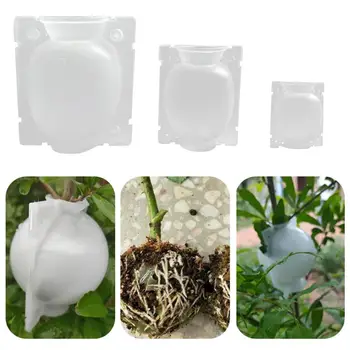 5pcs Plant Rooting Ball Grafting Rooting Growing Box Breeding Case for Garden Plant high-pressure propagation box Sapling garden
5pcs Plant Rooting Ball Grafting Rooting Growing Box Breeding Case for Garden Plant high-pressure propagation box Sapling garden