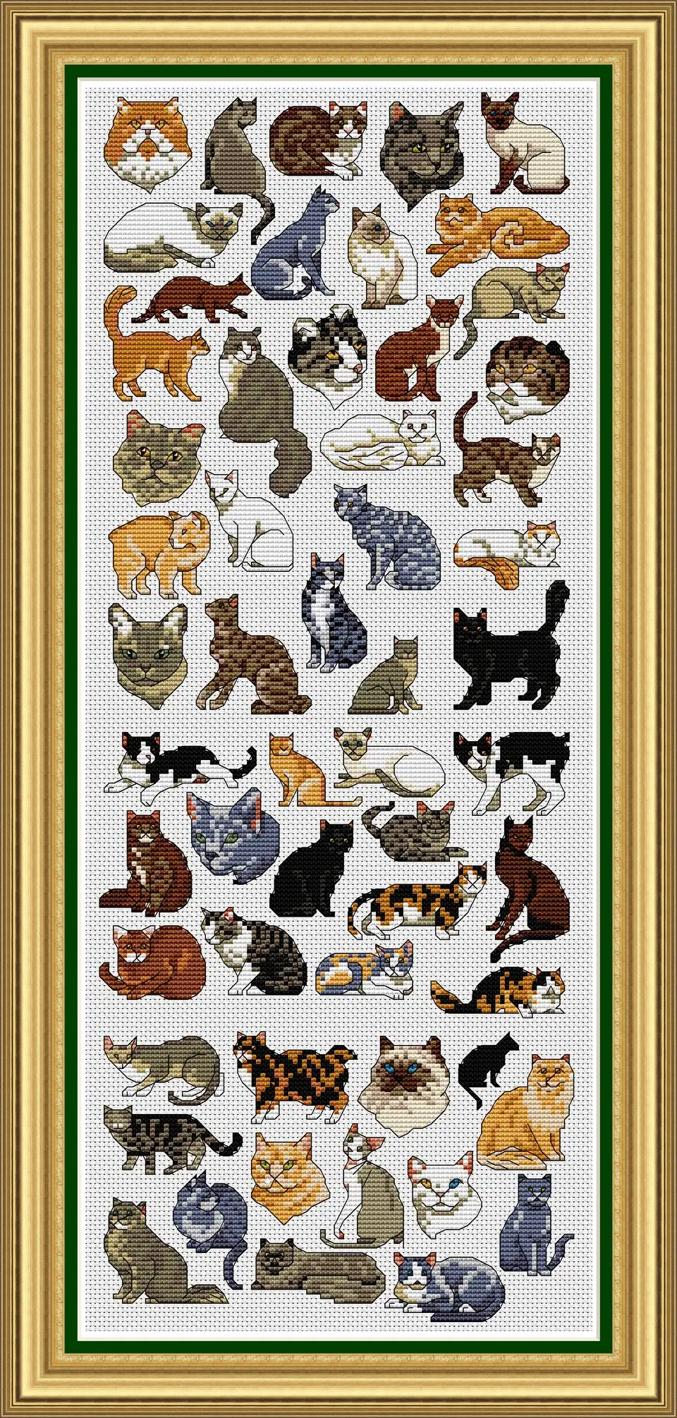 Рисунок кошка разные породы