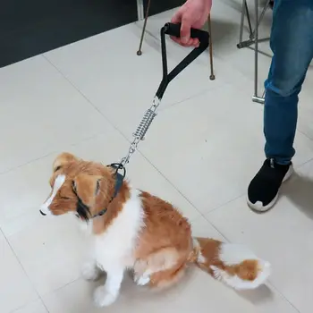 Double Dog Adjustable Length Dual Leash for Walking Training Dog Lead Splitter for Large Medium Small Pet Supplies
Double Dog Adjustable Length Dual Leash for Walking Training Dog Lead Splitter for Large Medium Small Pet Supplies
