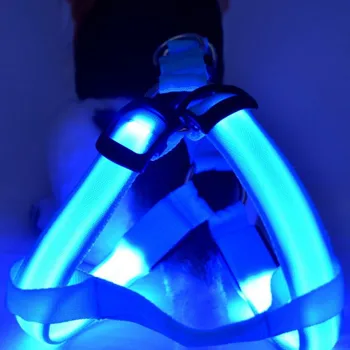 Pet Dog Cat Harness Led Flashing Light Harness Collar Pet Safety Led Leash Rope Belt Dog Accessories
Pet Dog Cat Harness Led Flashing Light Harness Collar Pet Safety Led Leash Rope Belt Dog Accessories