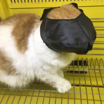 Nylon Cat Muzzle Anti-Bite Breathable Cat Muzzle Masks for Grooming Bath Protection Pet Eye Mask for Cats Pet Grooming Tools
Nylon Cat Muzzle Anti-Bite Breathable Cat Muzzle Masks for Grooming Bath Protection Pet Eye Mask for Cats Pet Grooming Tools