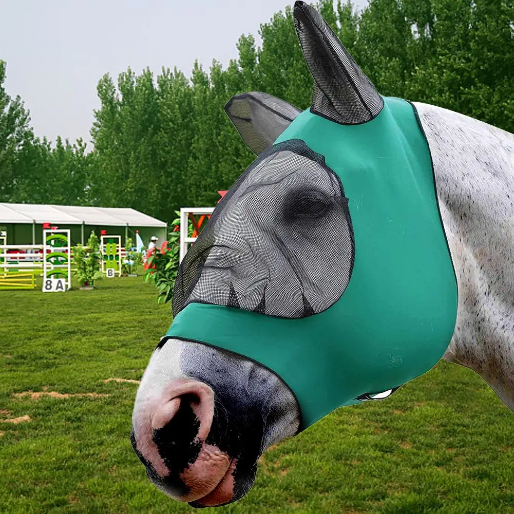 Pet Supplies Ear Cover Armour Horse Protector Summer Anti-mosquito Horse Fly Mask Breathable Blue Mesh Shield Full Face Comfort
Pet Supplies Ear Cover Armour Horse Protector Summer Anti-mosquito Horse Fly Mask Breathable Blue Mesh Shield Full Face Comfort