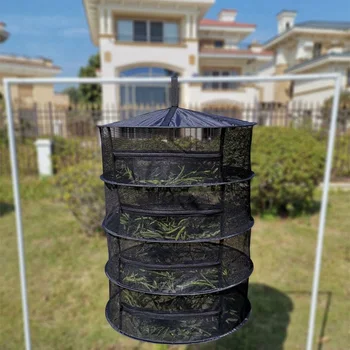 Herb Drying Net 4 Layers Foldable Fabric Drying Nets Herb Drying Rack Zippered Design Drying Net For Herbs Buds Beans
Herb Drying Net 4 Layers Foldable Fabric Drying Nets Herb Drying Rack Zippered Design Drying Net For Herbs Buds Beans