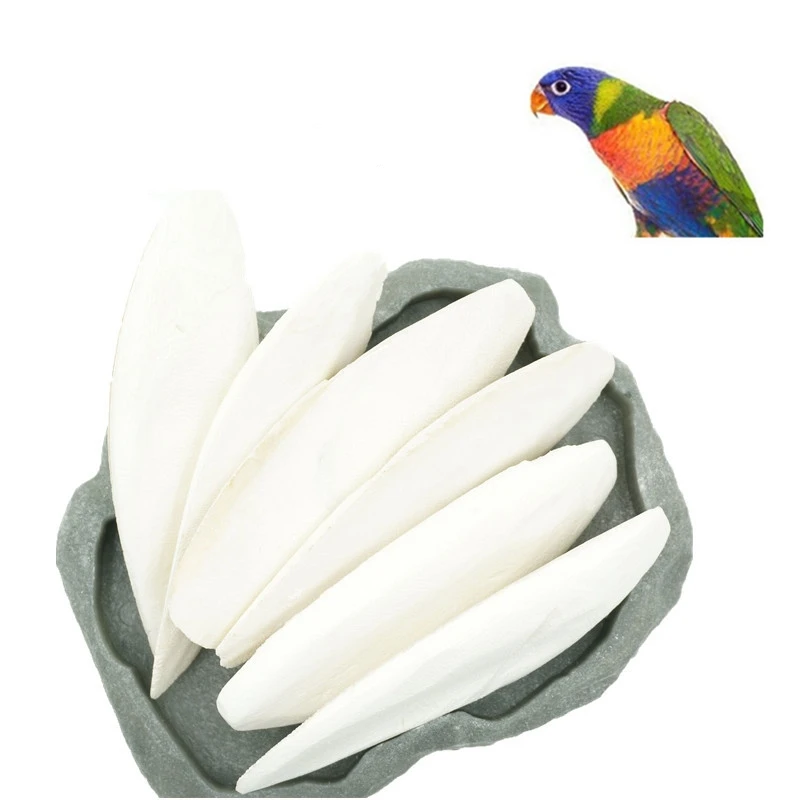 1Pcs 19-23cm Cuttlebone Cuttlefish Sepia Bone Cuttle Fish Bird Food Parrot Birds Teeth Grind Training Calcium Pickstone Pet
1Pcs 19-23cm Cuttlebone Cuttlefish Sepia Bone Cuttle Fish Bird Food Parrot Birds Teeth Grind Training Calcium Pickstone Pet