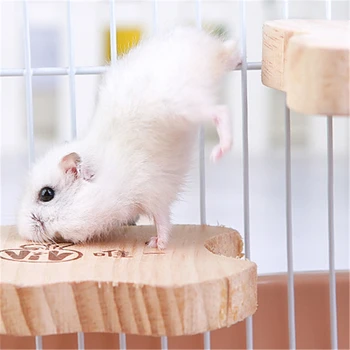 Hamster Toy Wooden Playing Platform Board Squirrel Parrot Climb Springboard Tools Rabbit House Decorate for Small Pet Products
Hamster Toy Wooden Playing Platform Board Squirrel Parrot Climb Springboard Tools Rabbit House Decorate for Small Pet Products