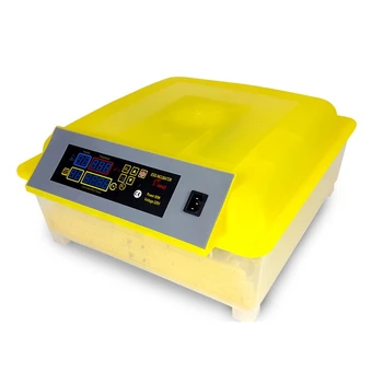 48 Eggs Automatic Egg Incubator Incubator Brooding Hatchery Poultry Equipment Incubator Chicken Automatic Egg with US Plug
48 Eggs Automatic Egg Incubator Incubator Brooding Hatchery Poultry Equipment Incubator Chicken Automatic Egg with US Plug
