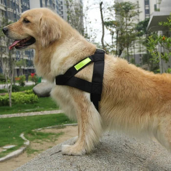 New Dog Harness Adjustable Soft Breathable Leash Set For Small Medium Dogs Puppy Collar Cat Pet Dog Chest Strap Leashes OO50XQ
New Dog Harness Adjustable Soft Breathable Leash Set For Small Medium Dogs Puppy Collar Cat Pet Dog Chest Strap Leashes OO50XQ