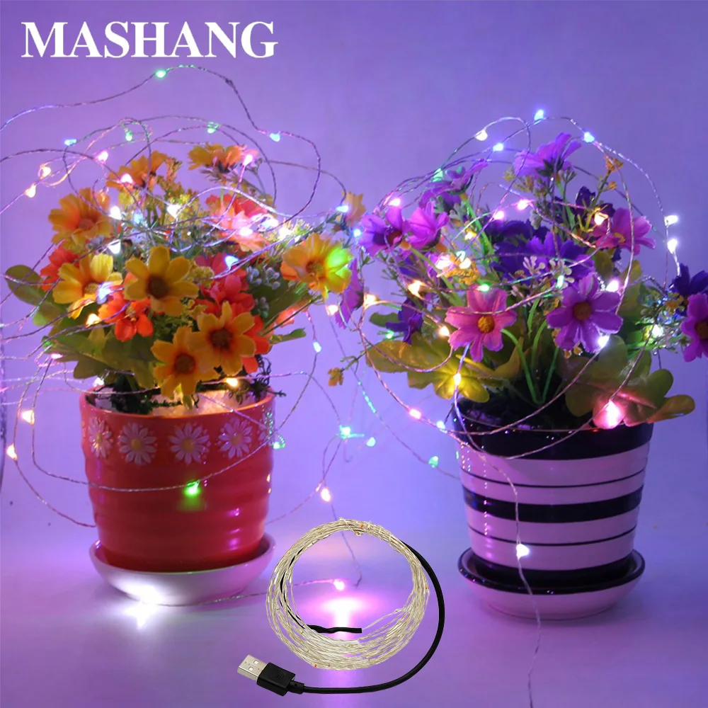 Waterproof LED Light String Christmas Wedding Decoration Party Light 2M 20LEDs USB Powered Silver Line Garden Home Lighting
Waterproof LED Light String Christmas Wedding Decoration Party Light 2M 20LEDs USB Powered Silver Line Garden Home Lighting