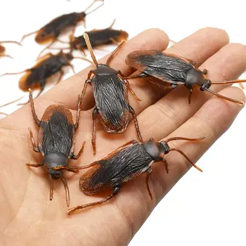 10Pcs Funny Toys Fake Cockroach Halloween Decoration Joke Prank Maker Fun Novelty Simulation False Cockroach Toy
10Pcs Funny Toys Fake Cockroach Halloween Decoration Joke Prank Maker Fun Novelty Simulation False Cockroach Toy