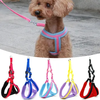 Small Dog Harness and Leash Set Dog Cat Harness Vest Breathable Mesh Nylon Dogs Leash Harness Adjustable Collar Puppy Small Dog
Small Dog Harness and Leash Set Dog Cat Harness Vest Breathable Mesh Nylon Dogs Leash Harness Adjustable Collar Puppy Small Dog