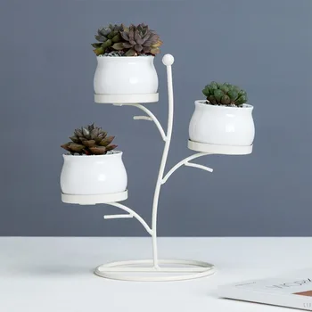 Original Design White Ceramic Flower Pots with Iron Metal Rack Desktop Planters for Succulent Plants Home Gardening Decoration
Original Design White Ceramic Flower Pots with Iron Metal Rack Desktop Planters for Succulent Plants Home Gardening Decoration