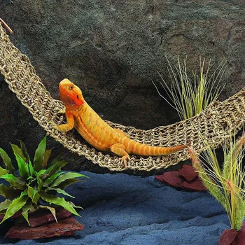 Seaweed Lizard Hammock Swing Pet Lounger Reptile Toy Hanging Bed Mat Small Hermit Crabs Geckos Bed Mats Pet Reptile Accessories
Seaweed Lizard Hammock Swing Pet Lounger Reptile Toy Hanging Bed Mat Small Hermit Crabs Geckos Bed Mats Pet Reptile Accessories