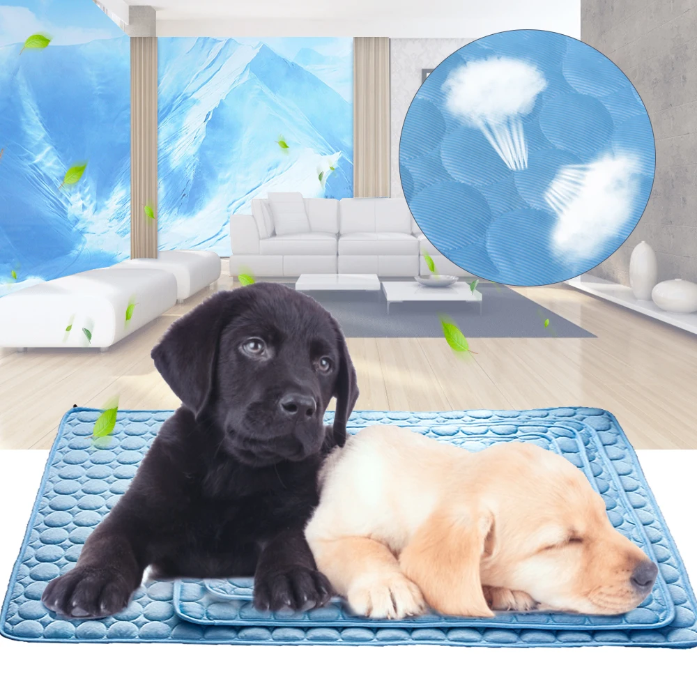 Summer Cooling Pet Mats Blanket Ice Pet Dog Bed Mats For Dogs Cats Sofa Portable Tour Camping Sleeping Pet Accessories
Summer Cooling Pet Mats Blanket Ice Pet Dog Bed Mats For Dogs Cats Sofa Portable Tour Camping Sleeping Pet Accessories
