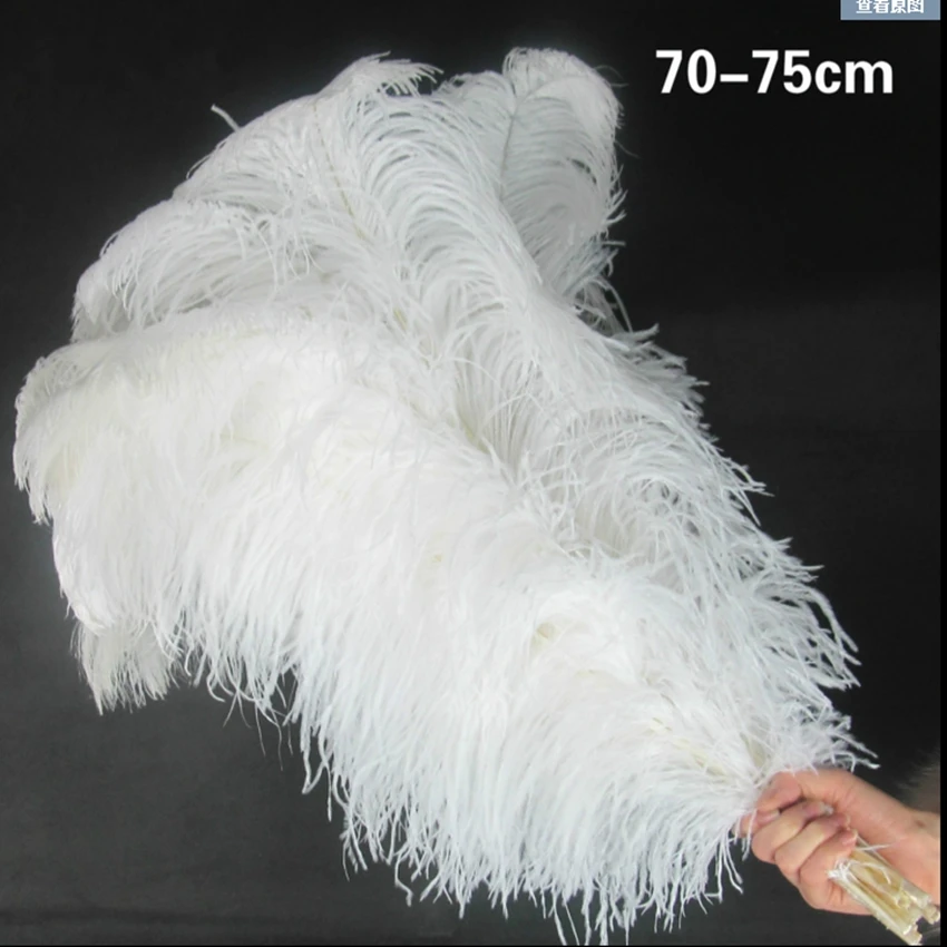10pc/lot 70-75cm Long Big Pole Ostrich Feathes DIY Wedding Carnival Christmas Party Decorations Plumes Natural Ostrich Pluma
10pc/lot 70-75cm Long Big Pole Ostrich Feathes DIY Wedding Carnival Christmas Party Decorations Plumes Natural Ostrich Pluma