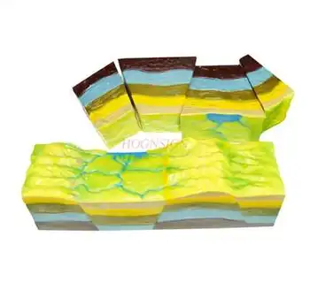 Fault structure and its basement development model of junior high school geography teaching science and education instruments
Fault structure and its basement development model of junior high school geography teaching science and education instruments
