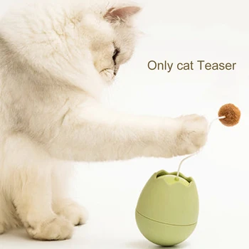 Replaceable Attachment Bite Resistant Catcher Pet Toy Cat Teaser Non Toxic Interactive Play Automatic Entertainment Electric Egg
Replaceable Attachment Bite Resistant Catcher Pet Toy Cat Teaser Non Toxic Interactive Play Automatic Entertainment Electric Egg