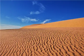 Vinyl Custom Photography Backdrops Props Photo Studio Castle theme Background 20228-109
Vinyl Custom Photography Backdrops Props Photo Studio Castle theme Background 20228-109