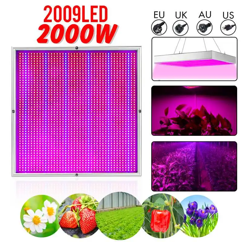 2000W Growing Lamps LED Grow Light 2009 LEDS Full Spectrum for Greenhouse Indoor Hydroponic Plant Seedling Flower High Yield
2000W Growing Lamps LED Grow Light 2009 LEDS Full Spectrum for Greenhouse Indoor Hydroponic Plant Seedling Flower High Yield