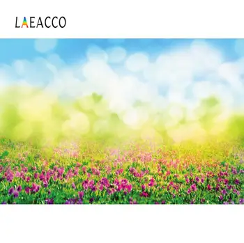 Laeacco Spring Backdrops For Photography Dreamy Polka Dots Light Bokeh Flowers Green Grass Baby Child Scenic Photo Backgrounds 
Laeacco Spring Backdrops For Photography Dreamy Polka Dots Light Bokeh Flowers Green Grass Baby Child Scenic Photo Backgrounds
