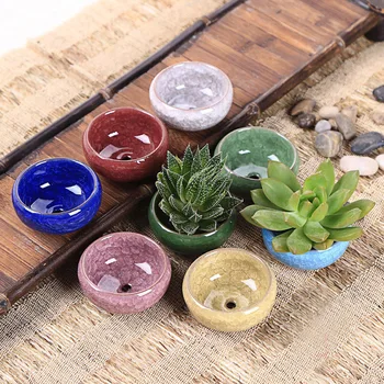 8PCS/Lot Mini Vase Ice-Crack Ceramic Flower Pots for Juicy Plants Small Bonsai Pot Home Garden Decor Succulent Plant Pots Vases 
8PCS/Lot Mini Vase Ice-Crack Ceramic Flower Pots for Juicy Plants Small Bonsai Pot Home Garden Decor Succulent Plant Pots Vases