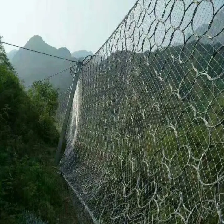 Manufacturers Sell Ring Network High-Speed Highway RXi Ring Slope Protect Safe Net Railway Subgrade Protective Mesh
Manufacturers Sell Ring Network High-Speed Highway RXi Ring Slope Protect Safe Net Railway Subgrade Protective Mesh