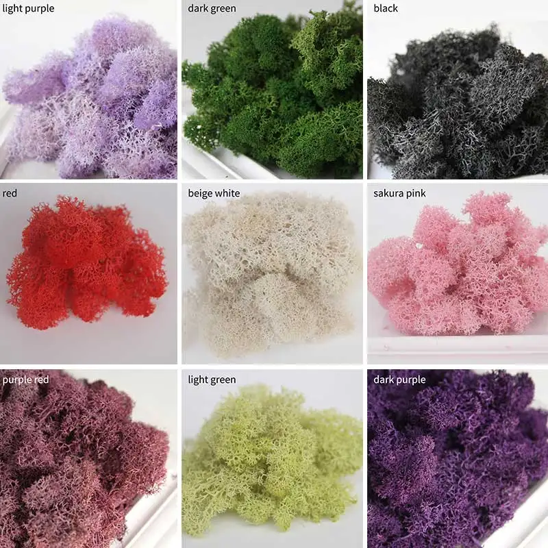 Garden Home Decoration Gift Box Supplies 10g Eternal Life Moss Micro Landscape Accessories Wedding Party Decor Living moss
Garden Home Decoration Gift Box Supplies 10g Eternal Life Moss Micro Landscape Accessories Wedding Party Decor Living moss