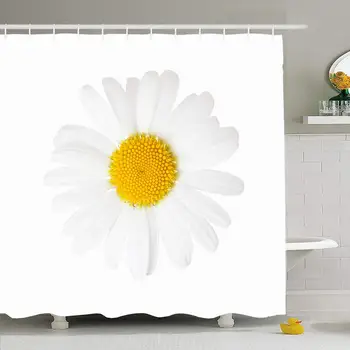 Shower Curtain Set with Hooks 66x72 Leucanthemum Closeup Chamomile Flower Oxeye Chamomilla Daisy Blooming Isolated On Nature
Shower Curtain Set with Hooks 66x72 Leucanthemum Closeup Chamomile Flower Oxeye Chamomilla Daisy Blooming Isolated On Nature