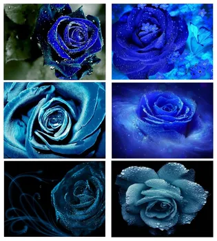 5D DIY Diamond Embroidered Painting with Rhinestone Diamond Painting Blue rose Diamond Flower Home Decoration Picture
5D DIY Diamond Embroidered Painting with Rhinestone Diamond Painting Blue rose Diamond Flower Home Decoration Picture