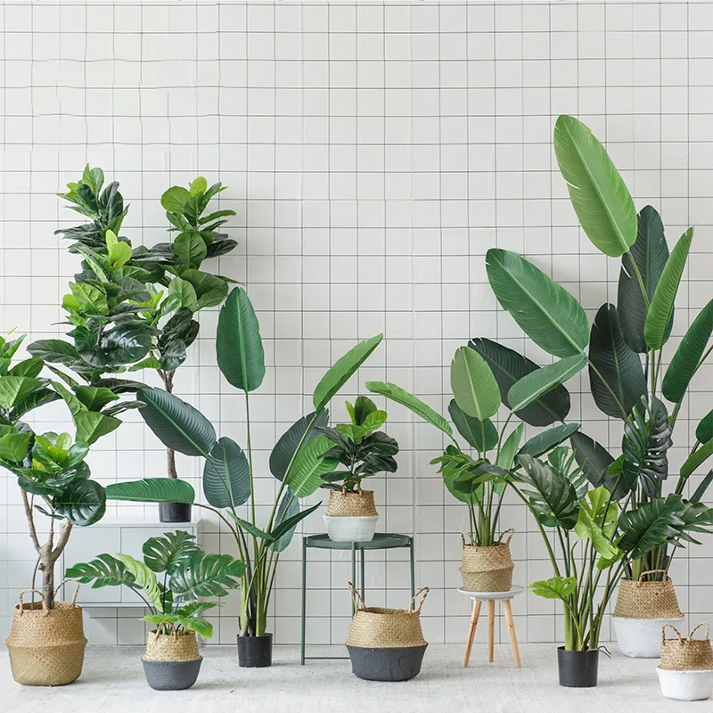 Northern European-Style Large Artificial Plant Potted Plant Decoration Creative Bar Coffee Shop Floor Torrid Zone Green Vegetati
Northern European-Style Large Artificial Plant Potted Plant Decoration Creative Bar Coffee Shop Floor Torrid Zone Green Vegetati