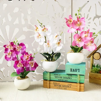 Double forked Phalaenopsis bonsai (including pots), creative ornaments artificial flowers, Yiwu manufacturers simulation plant
Double forked Phalaenopsis bonsai (including pots), creative ornaments artificial flowers, Yiwu manufacturers simulation plant