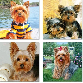 2019 New Year Gift Diamond Painting Yorkshire Terrier DIY 5D Full Round Diamond Embroidered Animal Diamond Mosaic Cross Stitch 
2019 New Year Gift Diamond Painting Yorkshire Terrier DIY 5D Full Round Diamond Embroidered Animal Diamond Mosaic Cross Stitch