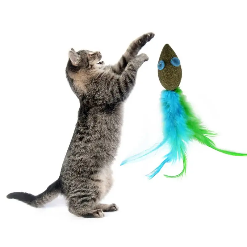 1/5/10 pcs/lot Funny Tease Cat Toy Natural Catnip Mouse Shape with Soft Green Feathers
1/5/10 pcs/lot Funny Tease Cat Toy Natural Catnip Mouse Shape with Soft Green Feathers