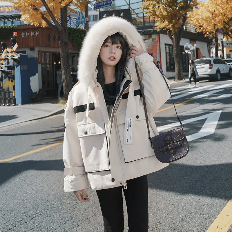 Photo Shoot Short Pike Cotton Coat 2019 Winter New Style Korean-style Three-Color down Coat Workwear down Feather Cotton Overcoa
Photo Shoot Short Pike Cotton Coat 2019 Winter New Style Korean-style Three-Color down Coat Workwear down Feather Cotton Overcoa
