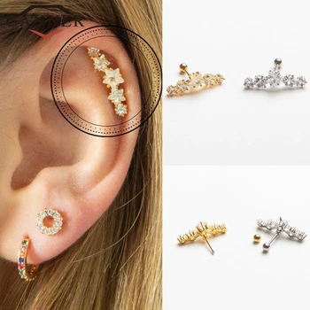 CANNER 1 pair 100% Real 925 Sterling Silver Crystal Zircon Small Stud Earrings for Women Gold Color Piercing Earings Jewelry
CANNER 1 pair 100% Real 925 Sterling Silver Crystal Zircon Small Stud Earrings for Women Gold Color Piercing Earings Jewelry