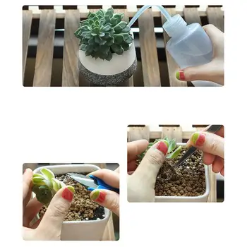 Gardening Hand Tools Plastic Loose Soil Transplanting Watering Excavation Gardening Tool Sets 14 Pieces Pruning Cleaning
Gardening Hand Tools Plastic Loose Soil Transplanting Watering Excavation Gardening Tool Sets 14 Pieces Pruning Cleaning