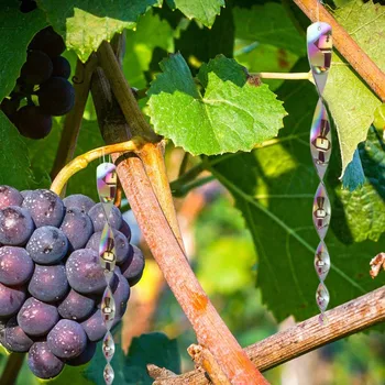 Repellent Hanging Decoration Protect Crop Reflective Safe Bird Scare Rod Safe Pigeons Outdoor Deterrent Tools
Repellent Hanging Decoration Protect Crop Reflective Safe Bird Scare Rod Safe Pigeons Outdoor Deterrent Tools