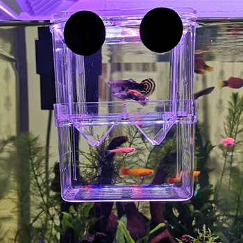 Clear Double-Deck Fish Breeding Box Isolation Aquarium Breeder Fish Tank for Guppy Betta Fish Hatching Incubator Baby Fish house
Clear Double-Deck Fish Breeding Box Isolation Aquarium Breeder Fish Tank for Guppy Betta Fish Hatching Incubator Baby Fish house