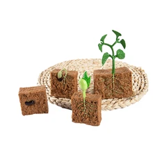 Growth القطيب شراء Growth القطيب مع شحن مجاني على Zawem Version