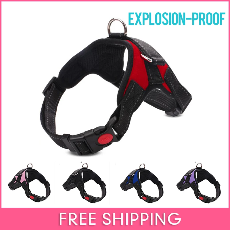 Big Dogs Harness Collars Nylon Explosion-Proof Pet Dog Harness For Medium Large Dog Vest Harnesses Padded Extra Pet Dog Supplies
Big Dogs Harness Collars Nylon Explosion-Proof Pet Dog Harness For Medium Large Dog Vest Harnesses Padded Extra Pet Dog Supplies