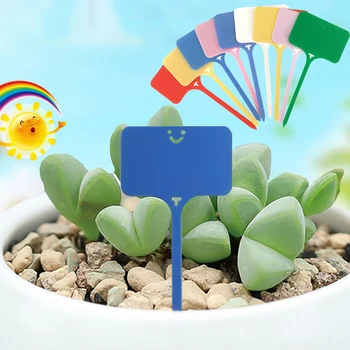 100 Pcs T-Type Garden Labels Gardening Plant Classification Sorting Sign Tag Waterproof Writing Plate Board Plug In Card Ticket
100 Pcs T-Type Garden Labels Gardening Plant Classification Sorting Sign Tag Waterproof Writing Plate Board Plug In Card Ticket