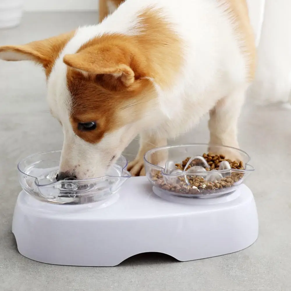 Waterproof Digital Pet Bowl Weighing Pet Bowl Fresh Dog Health Care To Protect Cervical Bacteria Control Healthy Durable
Waterproof Digital Pet Bowl Weighing Pet Bowl Fresh Dog Health Care To Protect Cervical Bacteria Control Healthy Durable
