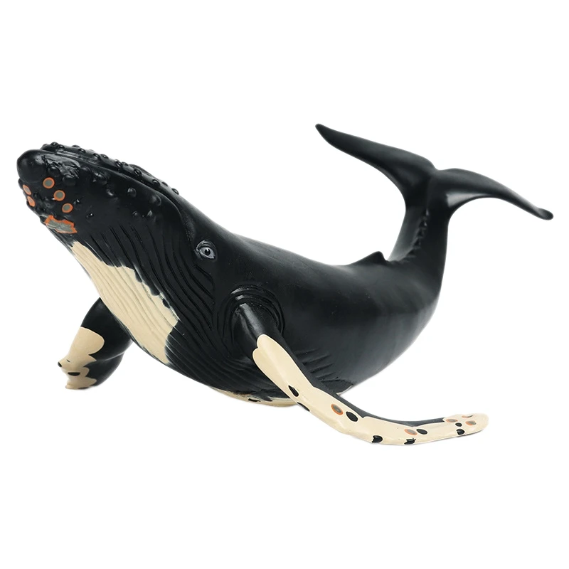 Simulation Marine Animal Model Soft Rubber Humpback Whale Model Animal Model Ornaments
Simulation Marine Animal Model Soft Rubber Humpback Whale Model Animal Model Ornaments