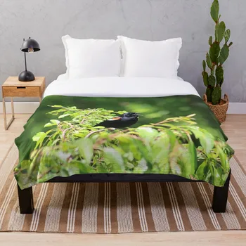 Soft Blanket for Bed Sherpa Flannel Fleece Blanket Home Travel Sofa Soft Throw Blanket Alley View In St Thomas
Soft Blanket for Bed Sherpa Flannel Fleece Blanket Home Travel Sofa Soft Throw Blanket Alley View In St Thomas