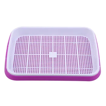 Plastic Nursery Pots Seed Sprouter Tray PP High Capacity Soil-Free Wheatgrass Grower Seedling Tray Sprout Plate Hydroponic
Plastic Nursery Pots Seed Sprouter Tray PP High Capacity Soil-Free Wheatgrass Grower Seedling Tray Sprout Plate Hydroponic