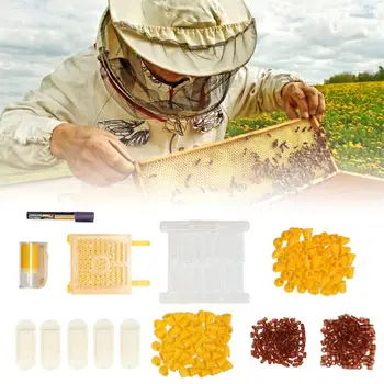 Beekeeping Cage Copper Plating Queen Rearing Kit Plastic Bee Breeding Set Cage Marking Bottle Beekeeping Tool Bee Rearing Kit
Beekeeping Cage Copper Plating Queen Rearing Kit Plastic Bee Breeding Set Cage Marking Bottle Beekeeping Tool Bee Rearing Kit