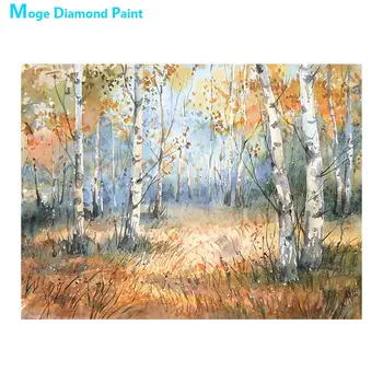 Autumn birch forest scenery Diamond Painting Round Full Drill Scenic Nouveaute DIY Mosaic Embroidery 5D Cross Stitch home decor 
Autumn birch forest scenery Diamond Painting Round Full Drill Scenic Nouveaute DIY Mosaic Embroidery 5D Cross Stitch home decor