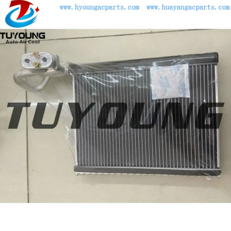 OEM 64119237510 64119281416 RHD for BMW X5 X6 2007 Car A/C Evaporator core
OEM 64119237510 64119281416 RHD for BMW X5 X6 2007 Car A/C Evaporator core